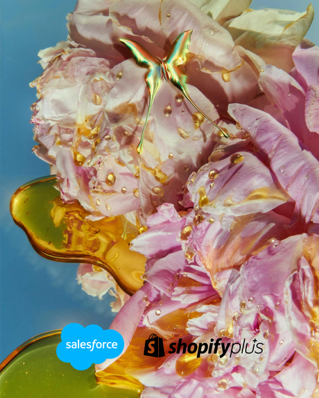 Salesforce Commerce Cloud to Shopify Plus